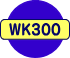 W300