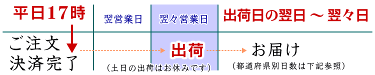 佐川急便お届け日程 出荷日の翌日～翌々日のお届け