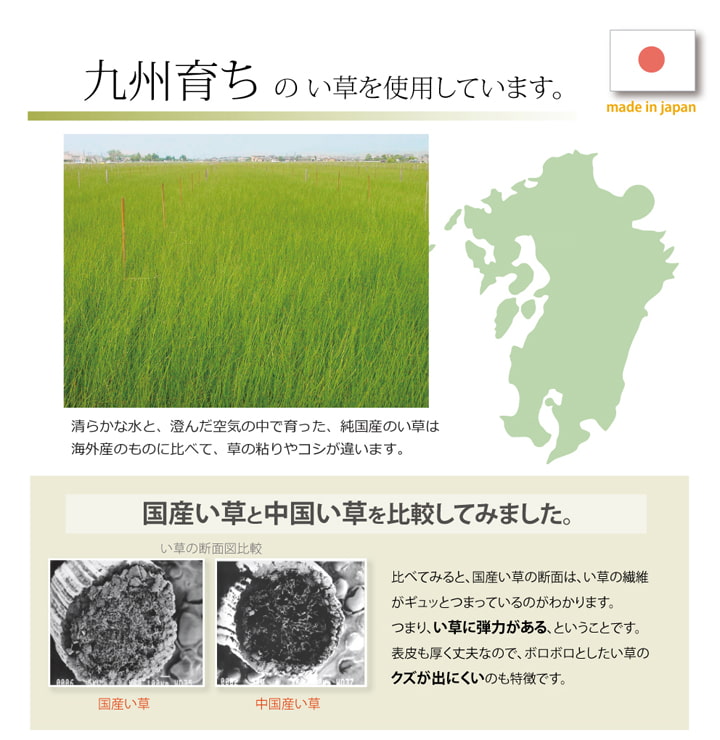 九州育ちの い草を使用しています。清らかな水と、澄んだ空気の中で育った、純国産の い草は、海外産と比べて、草の粘りやコシが違います。
